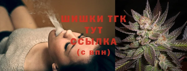 Альфа ПВП Няндома