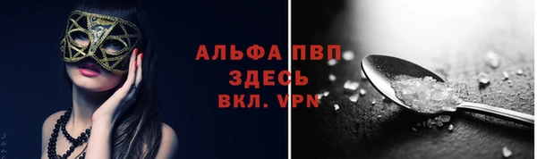 Альфа ПВП Няндома