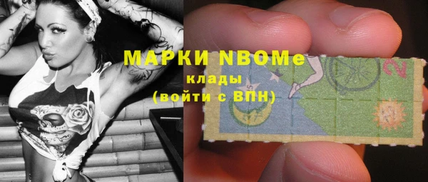 Альфа ПВП Няндома