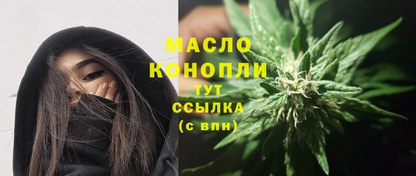 Альфа ПВП Няндома