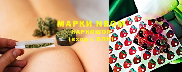 Альфа ПВП Няндома