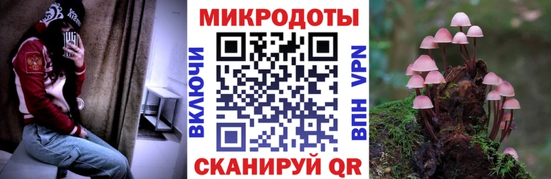 наркошоп  Руза  Галлюциногенные грибы ЛСД 